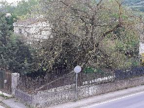Jardín